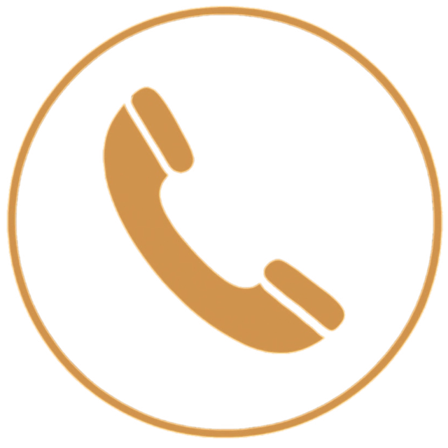 Voice calls icon